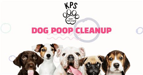 Top Rated Dog Waste Removal in Northville MI .